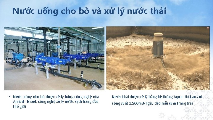 Nước uống cho bò và xử lý nước thải • Nước uống cho bò