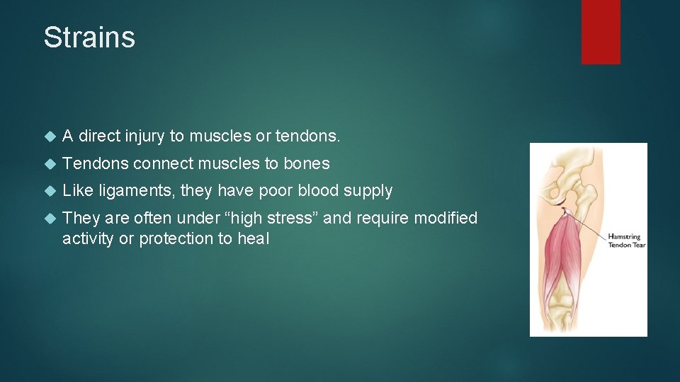 Strains A direct injury to muscles or tendons. Tendons connect muscles to bones Like