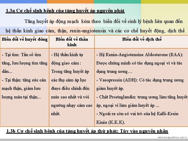 1. 3 a Cơ chế sinh bệnh của tăng huyết áp nguyên phát Tăng