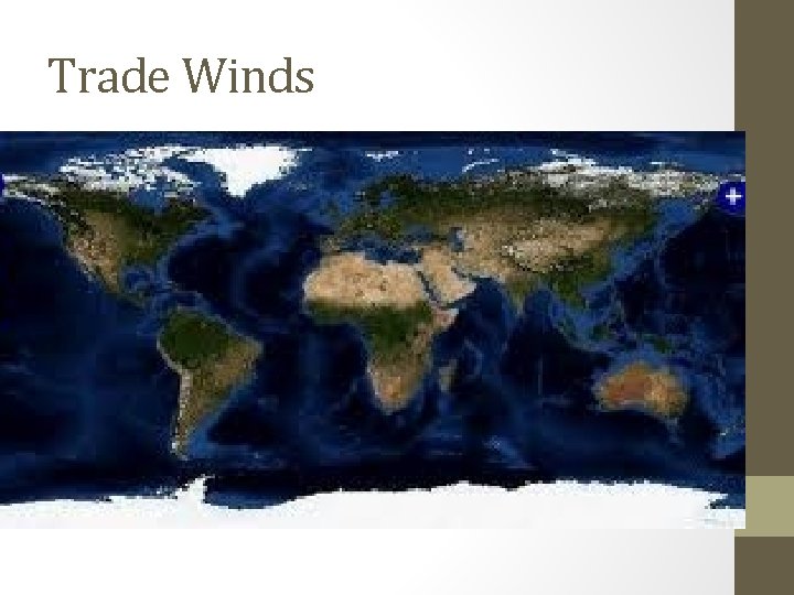 Trade Winds Trade Winds