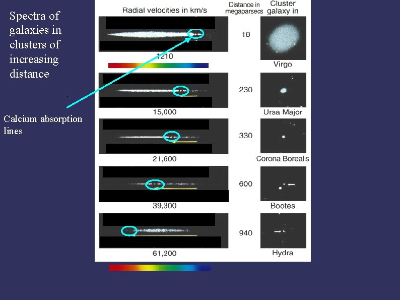 Spectra of galaxies in clusters of increasing distance Calcium absorption lines 