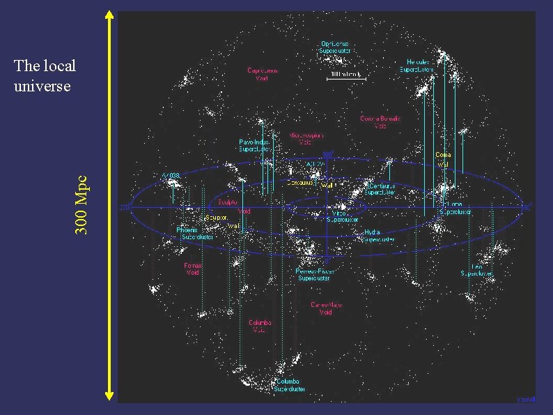 300 Mpc The local universe 