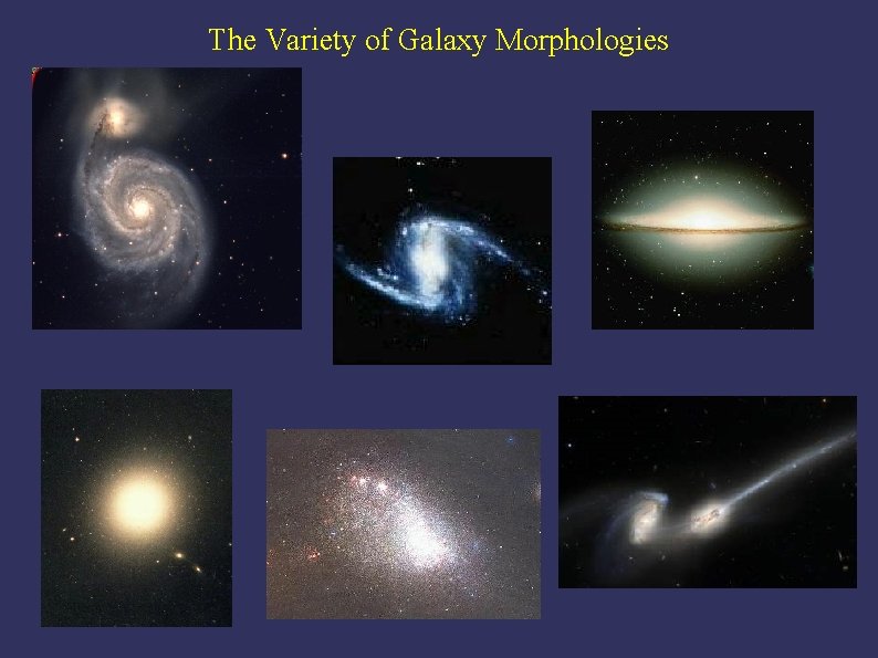 The Variety of Galaxy Morphologies 