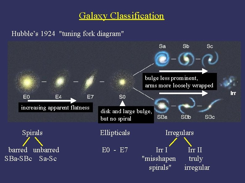 Galaxy Classification Hubble’s 1924 "tuning fork diagram" bulge less prominent, arms more loosely wrapped