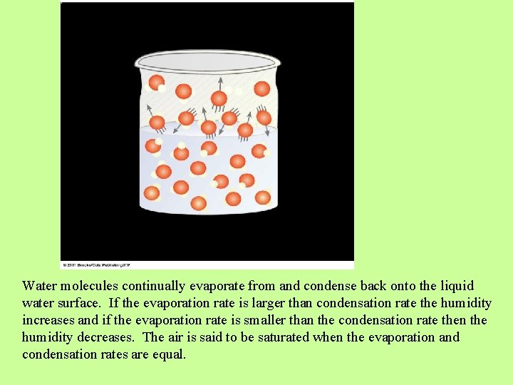 Water molecules continually evaporate from and condense back onto the liquid water surface. If Water molecules continually evaporate from and condense back onto the liquid water surface. If