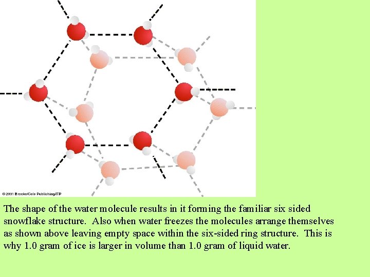 The shape of the water molecule results in it forming the familiar six sided The shape of the water molecule results in it forming the familiar six sided
