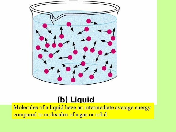 Molecules of a liquid have an intermediate average energy compared to molecules of a Molecules of a liquid have an intermediate average energy compared to molecules of a