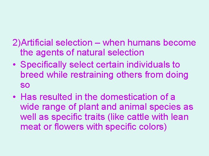 2)Artificial selection – when humans become the agents of natural selection • Specifically select