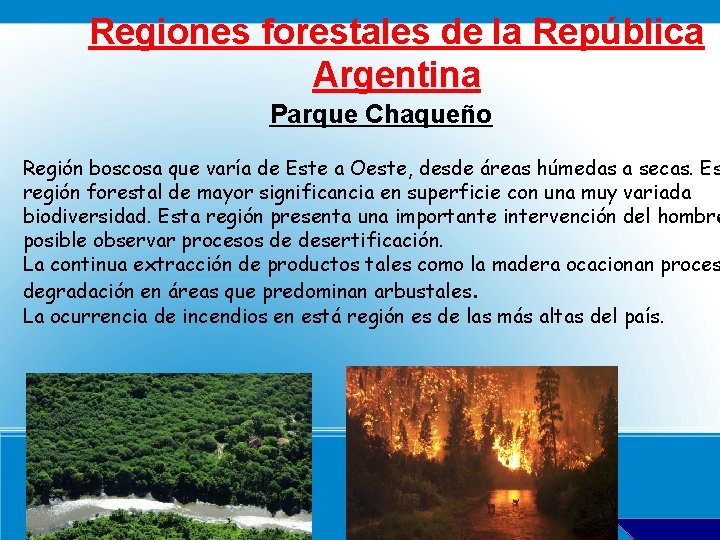 Regiones forestales de la República Argentina Parque Chaqueño Región boscosa que varía de Este