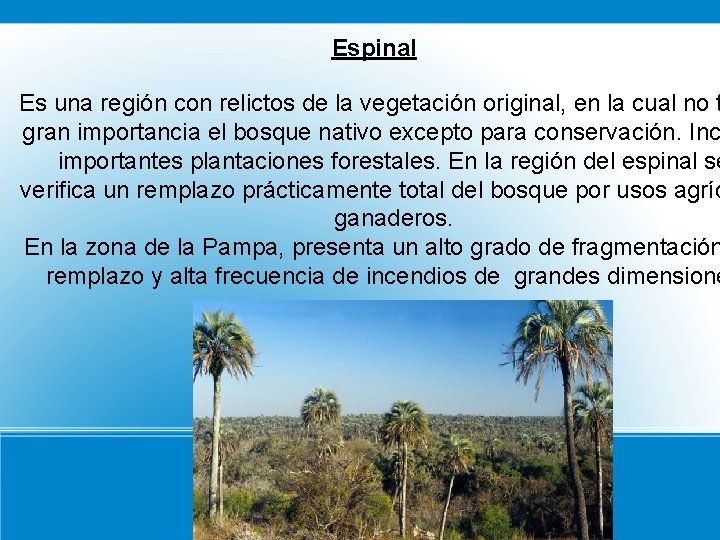 Espinal Es una región con relictos de la vegetación original, en la cual no