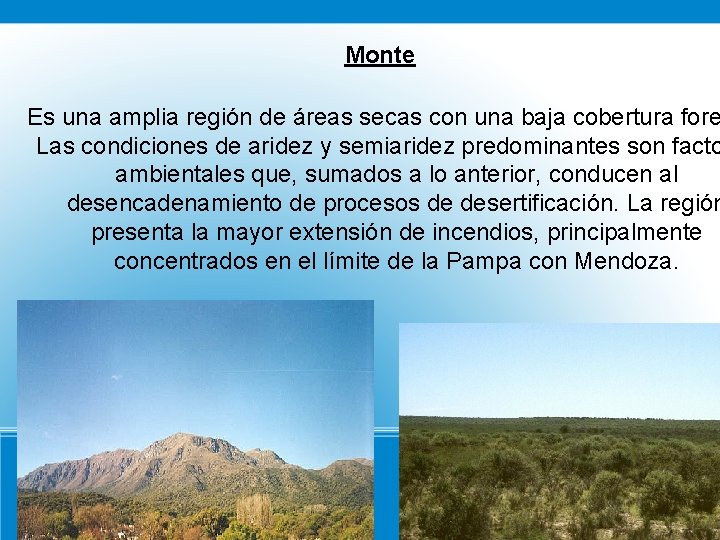 Monte Es una amplia región de áreas secas con una baja cobertura fore Las