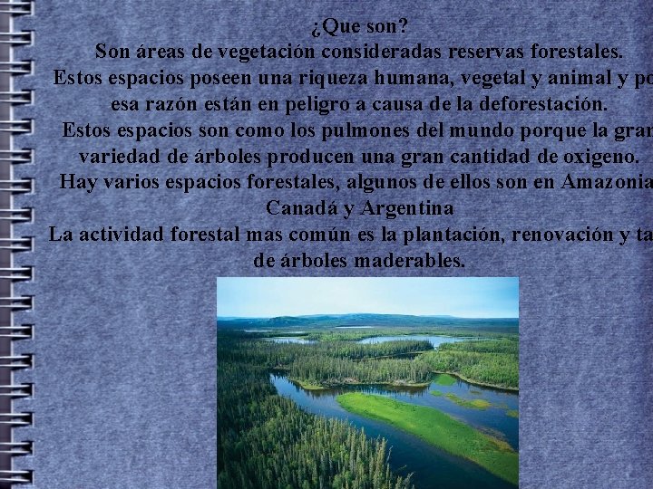 ¿Que son? Son áreas de vegetación consideradas reservas forestales. Estos espacios poseen una riqueza