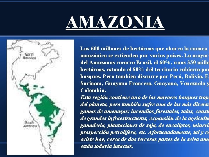 AMAZONIA Los 600 millones de hectáreas que abarca la cuenca amazónica se extienden por