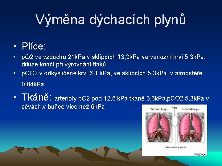 Výměna dýchacích plynů • Plíce: • p. O 2 ve vzduchu 21 k. Pa