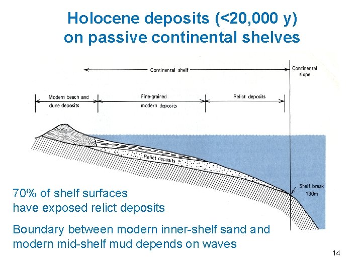 Holocene deposits (<20, 000 y) on passive continental shelves 70% of shelf surfaces have