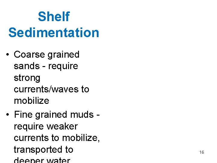 Shelf Sedimentation • Coarse grained sands - require strong currents/waves to mobilize • Fine