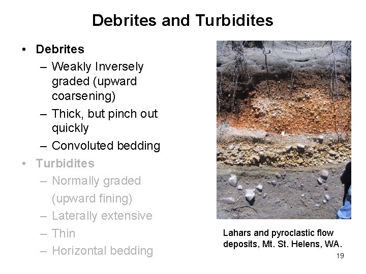 Debrites and Turbidites • Debrites – Weakly Inversely graded (upward coarsening) – Thick, but