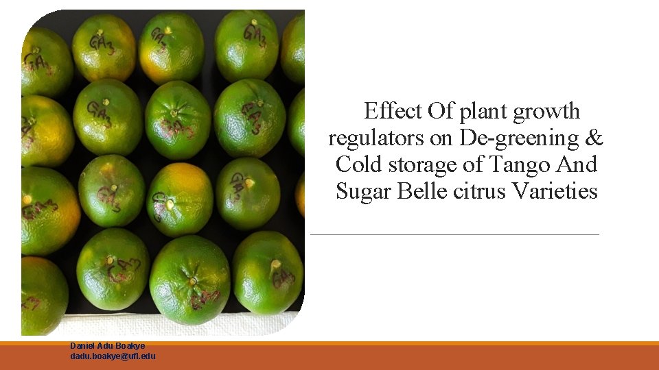 Effect Of plant growth regulators on De-greening & Cold storage of Tango And Sugar