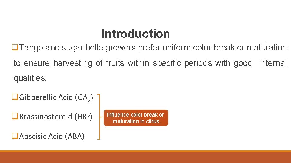 Introduction q. Tango and sugar belle growers prefer uniform color break or maturation to