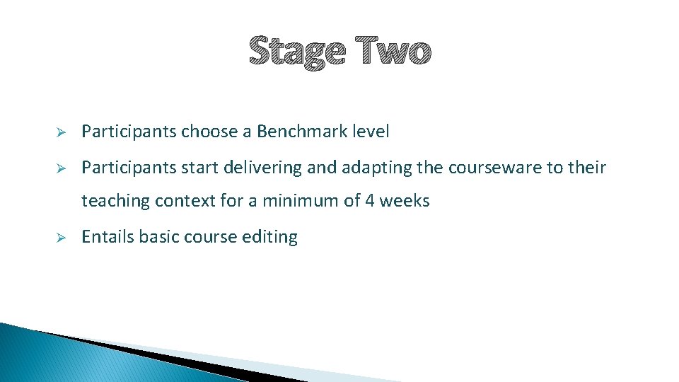 Stage Two Ø Participants choose a Benchmark level Ø Participants start delivering and adapting