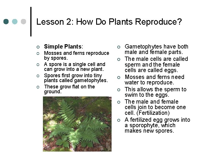Lesson 2: How Do Plants Reproduce? ¢ Simple Plants: ¢ Mosses and ferns reproduce Lesson 2: How Do Plants Reproduce? ¢ Simple Plants: ¢ Mosses and ferns reproduce