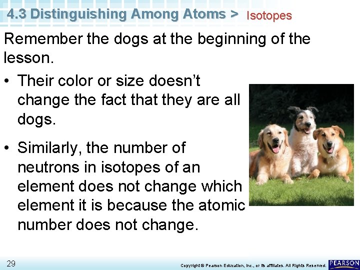 4. 3 Distinguishing Among Atoms > Isotopes Remember the dogs at the beginning of