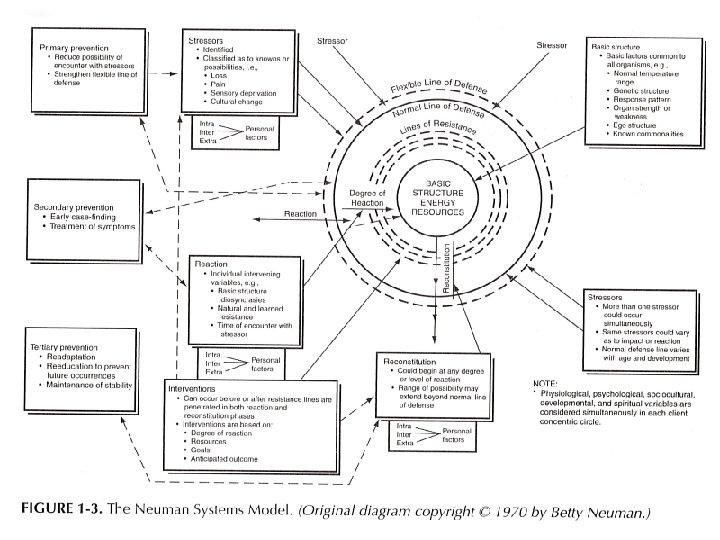 Copyright 2005 by Dr. Betty Neuman 17 