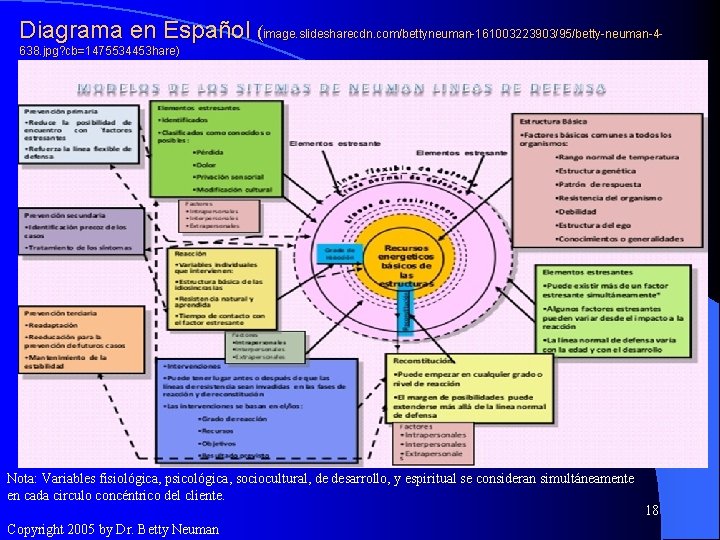 Diagrama en Español (image. slidesharecdn. com/bettyneuman-161003223903/95/betty-neuman-4638. jpg? cb=1475534453 hare) Nota: Variables fisiológica, psicológica, sociocultural,