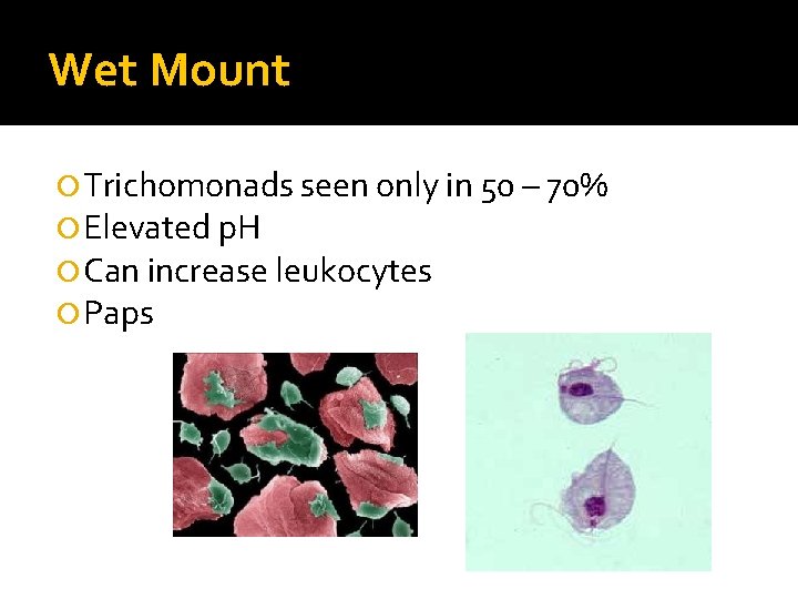 Wet Mount Trichomonads seen only in 50 – 70% Elevated p. H Can increase Wet Mount Trichomonads seen only in 50 – 70% Elevated p. H Can increase