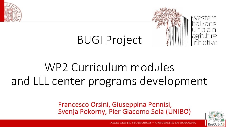 BUGI Project WP 2 Curriculum modules and LLL center programs development Francesco Orsini, Giuseppina