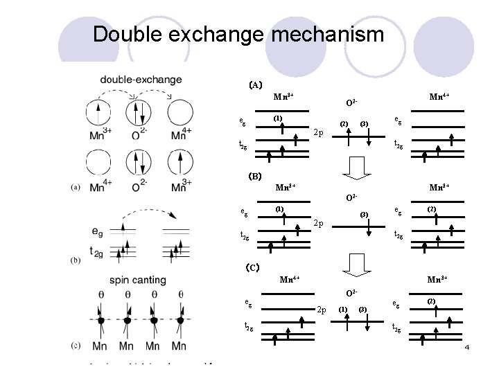 Double exchange mechanism （A） Mn 3+ eg Mn 4+ O 2 - (1) 2