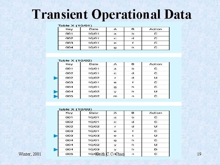 Transient Operational Data Winter, 2001 Keith C. C. Chan 19 