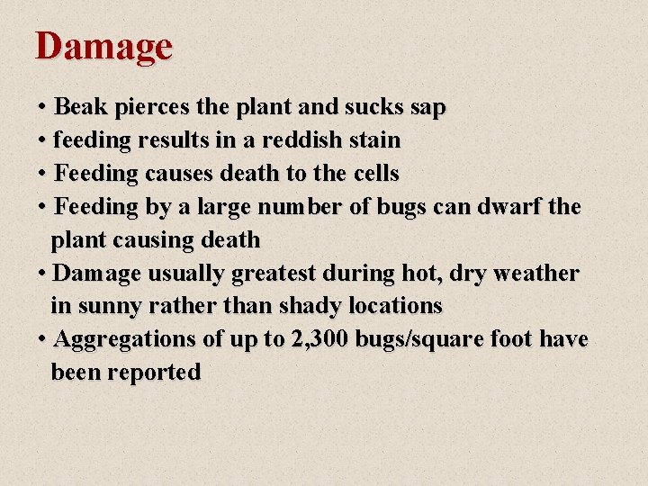 Damage • Beak pierces the plant and sucks sap • feeding results in a