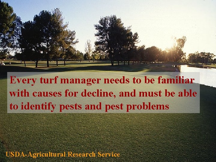 Every turf manager needs to be familiar with causes for decline, and must be