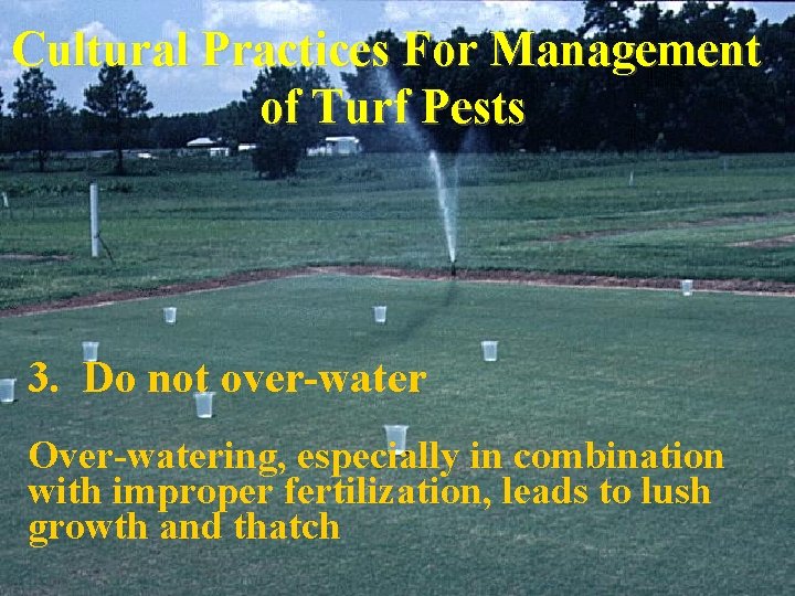 Cultural Practices For Management of Turf Pests 3. Do not over-water Over-watering, especially in