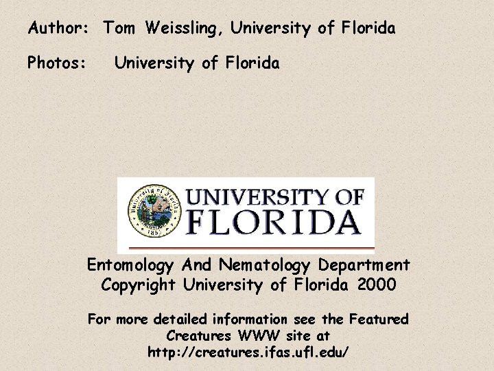 Author: Tom Weissling, University of Florida Photos: University of Florida Entomology And Nematology Department