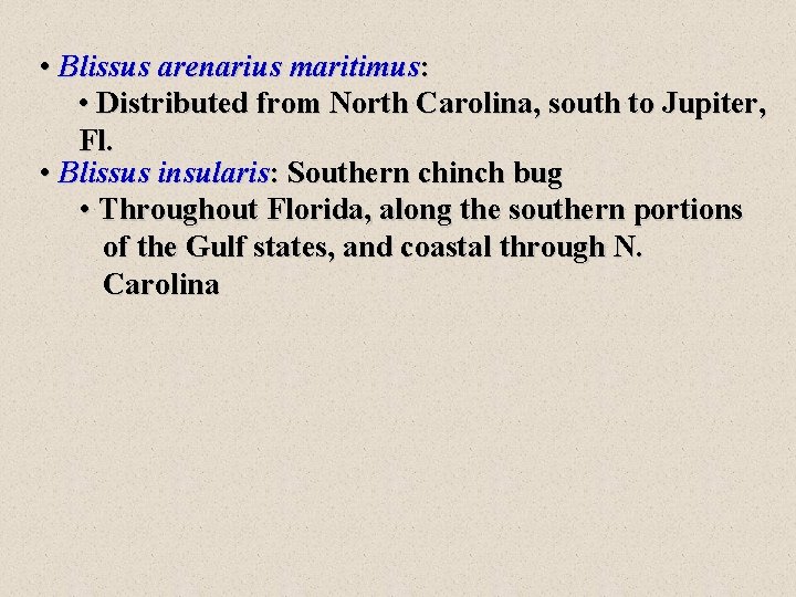  • Blissus arenarius maritimus: • Distributed from North Carolina, south to Jupiter, Fl.