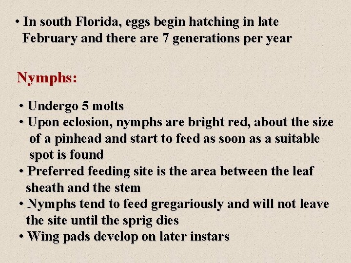  • In south Florida, eggs begin hatching in late February and there are