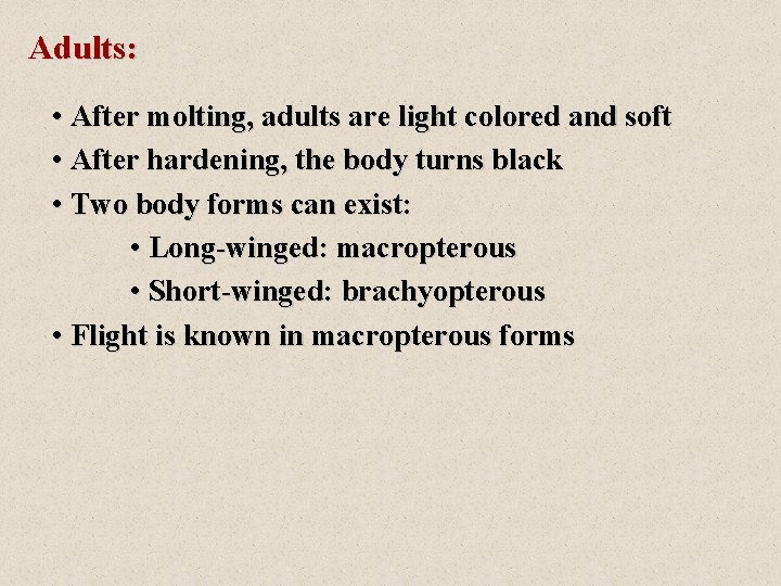 Adults: • After molting, adults are light colored and soft • After hardening, the