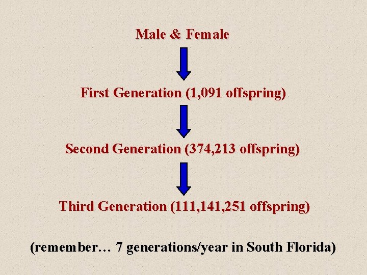 Male & Female First Generation (1, 091 offspring) Second Generation (374, 213 offspring) Third