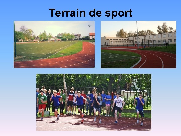 Terrain de sport 
