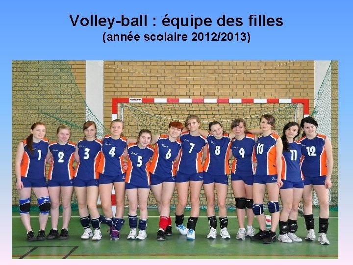 Volley-ball : équipe des filles (année scolaire 2012/2013) 