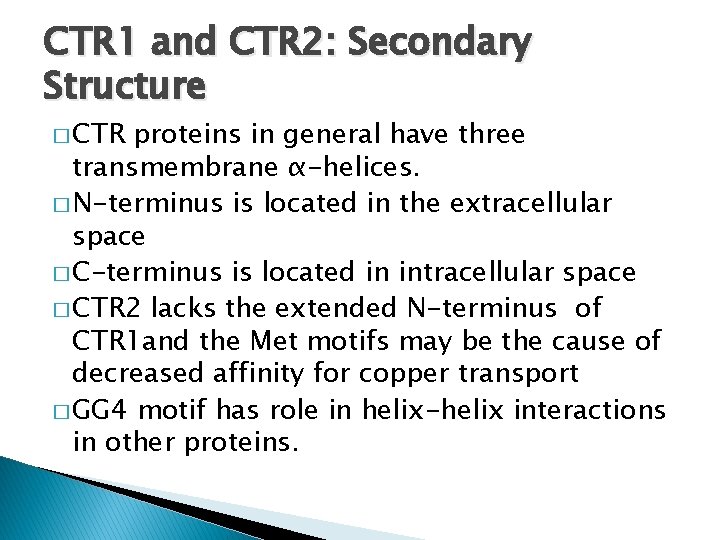 CTR 1 and CTR 2: Secondary Structure � CTR proteins in general have three