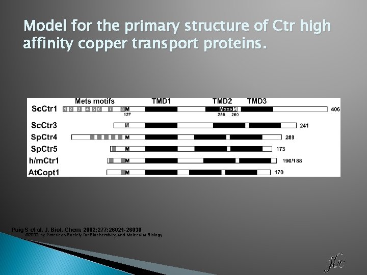 Model for the primary structure of Ctr high affinity copper transport proteins. Puig S