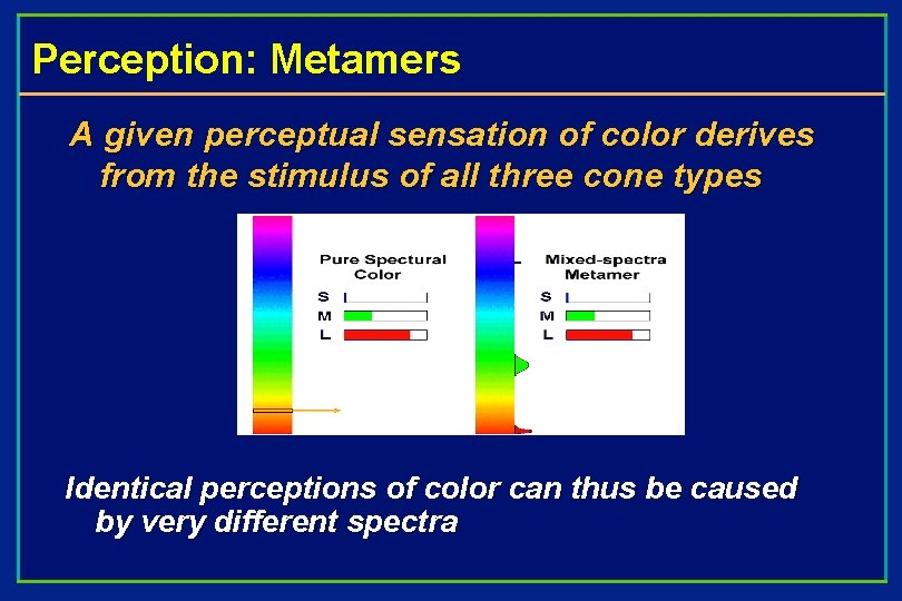 Perception: Metamers A given perceptual sensation of color derives from the stimulus of all