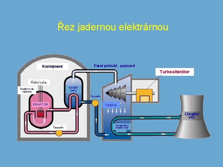 Řez jadernou elektrárnou Parní potrubí - parovod Kontejment Turboalterátor Řídící tyče Vyvíječ páry Reaktorová