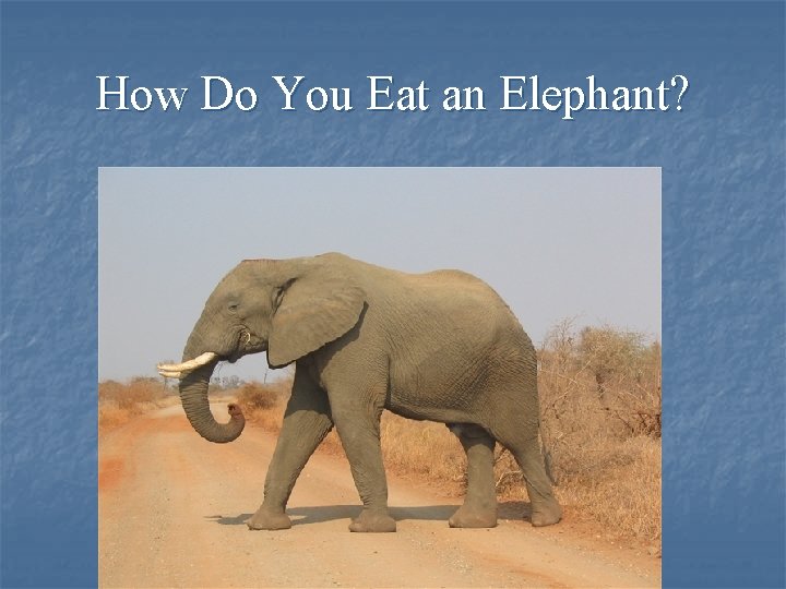 How Do You Eat an Elephant? 