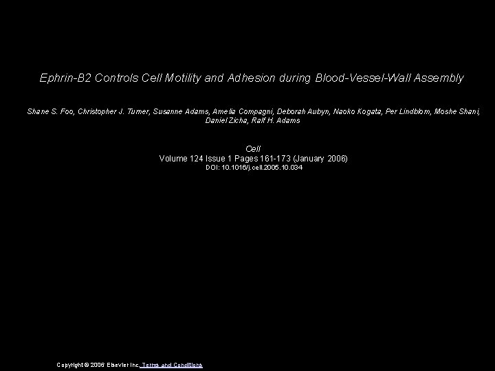 Ephrin-B 2 Controls Cell Motility and Adhesion during Blood-Vessel-Wall Assembly Shane S. Foo, Christopher