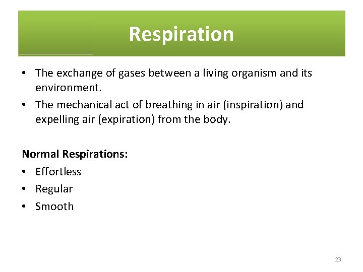 Respiration • The exchange of gases between a living organism and its environment. •