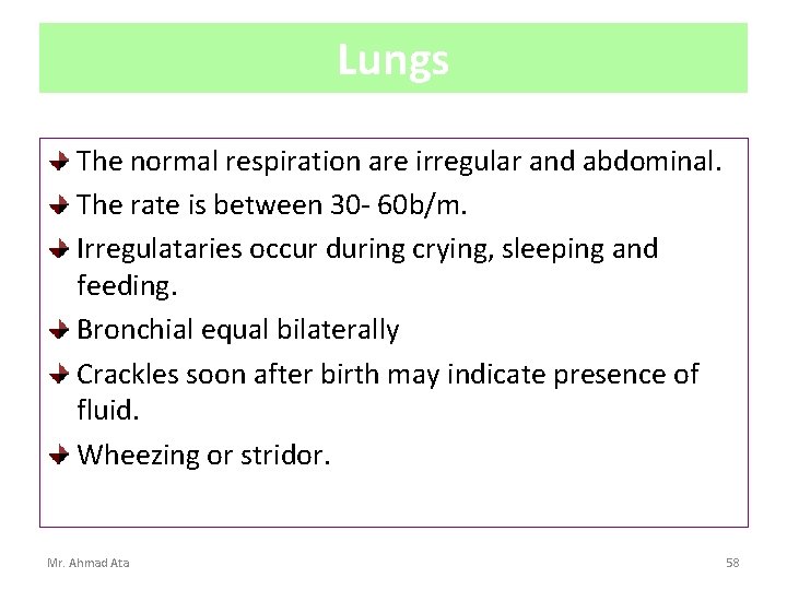 Lungs The normal respiration are irregular and abdominal. The rate is between 30 -